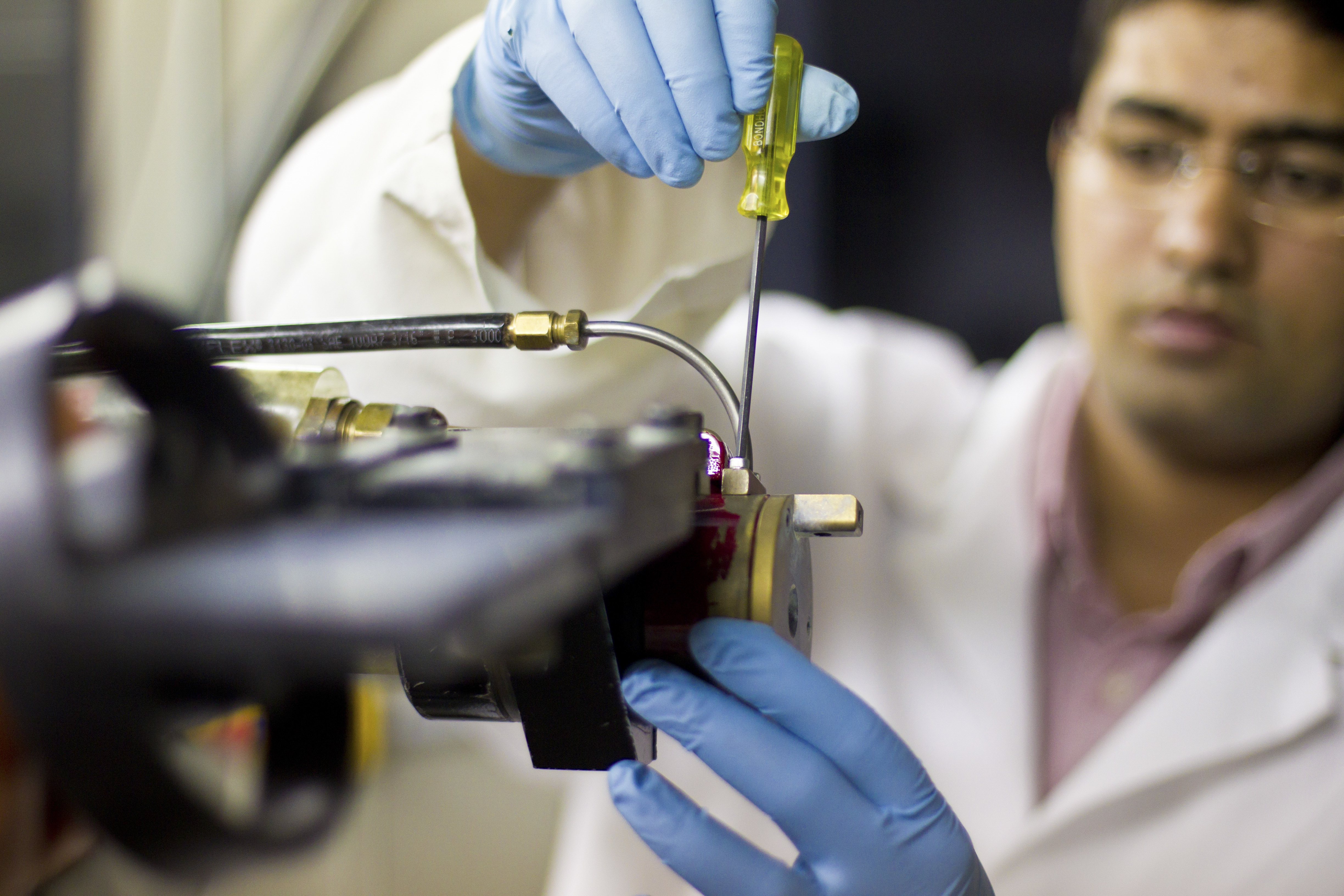 HIM – honors research advising